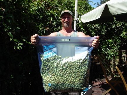 Jack showing off Jerry's hop harvest