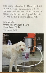 Jack's Labradoodle 'testing' water temperature as wort cools